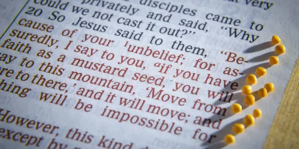 The Mustard Seed Journal